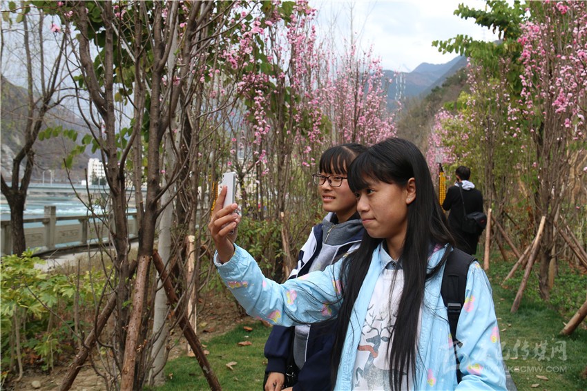 春光俏！“醉”是瀘定春三月，踏青賞花正當(dāng)時(shí)
