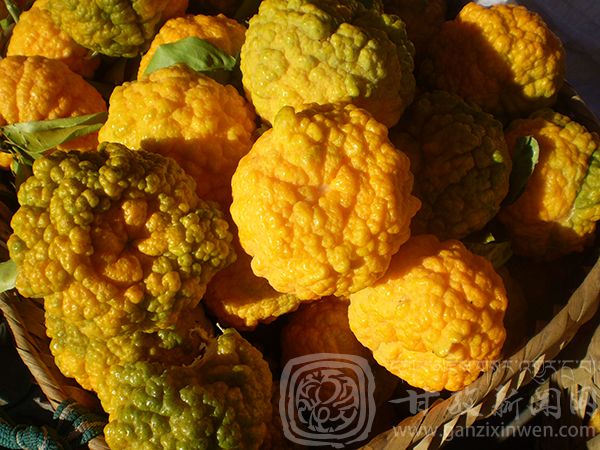 西部太陽(yáng)谷 得榮原生態(tài)美食