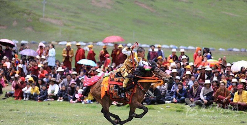 格?；ㄊ㈤_ 牧民馬背上一顯身手