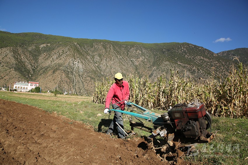 田園藏鄉(xiāng)美如畫，百姓脫貧喜在心