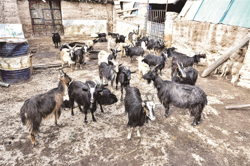 讓洛絨澤.jpg 讓洛絨澤.jpg