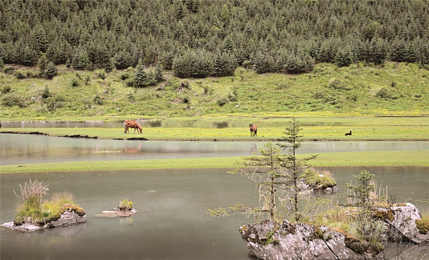 去甘孜 邂逅絕美湖泊海子！